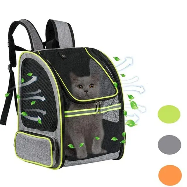 गिनी पिग कैरियर बैग